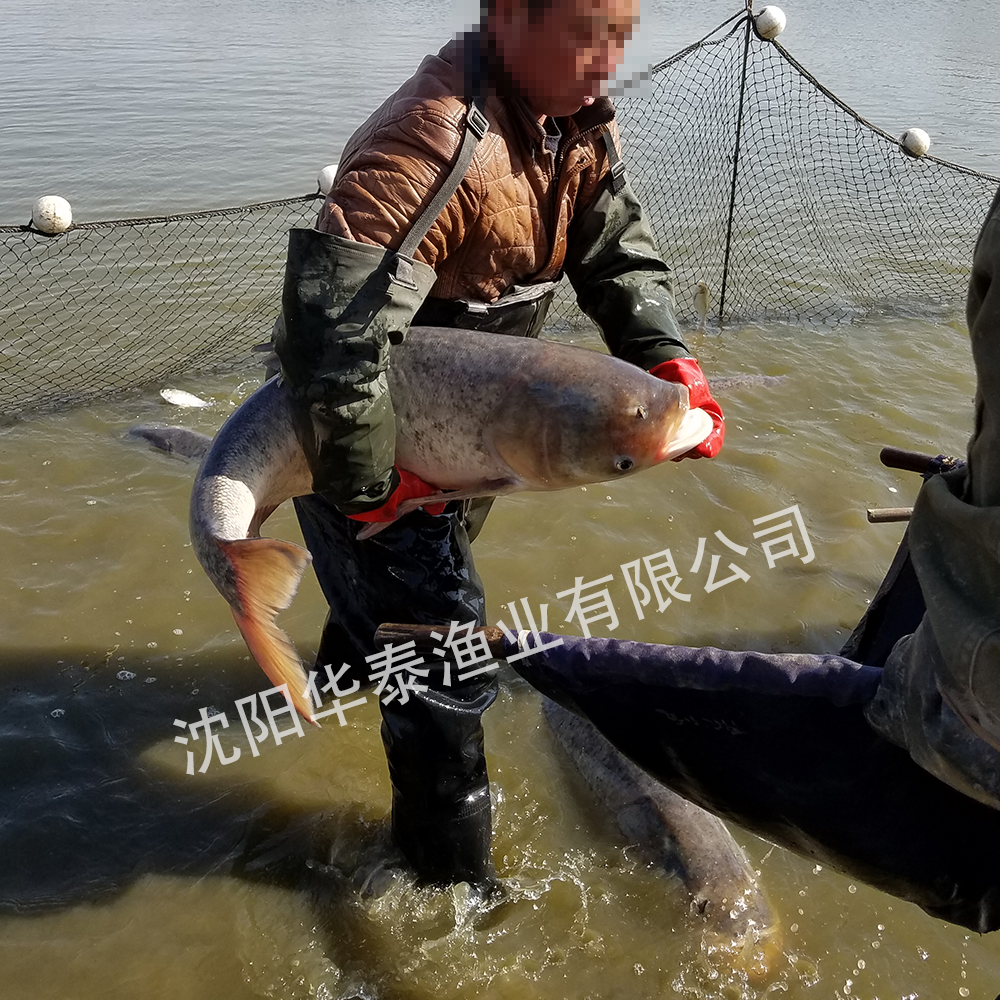 &#20048;&#31454;&#32593;&#39029;&#29256;&#30331;&#24405;&#20837;&#21475;&#45;&#20048;&#31454;&#40;&#20013;&#22269;&#41;