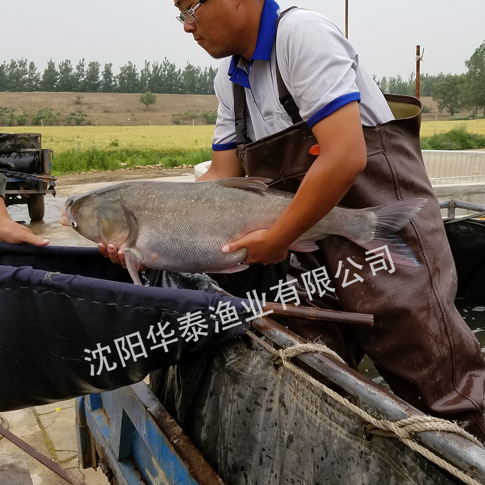 &#20048;&#31454;&#32593;&#39029;&#29256;&#30331;&#24405;&#20837;&#21475;&#45;&#20048;&#31454;&#40;&#20013;&#22269;&#41;
