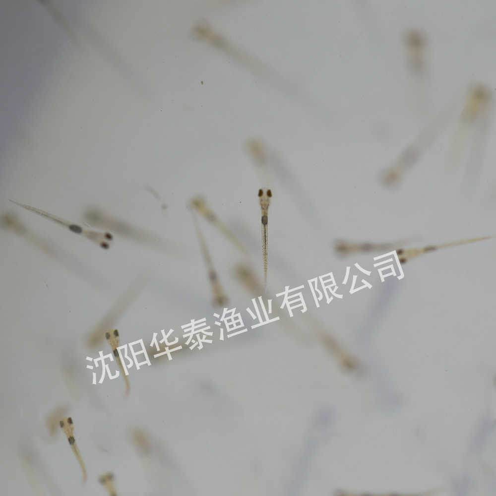 &#20048;&#31454;&#32593;&#39029;&#29256;&#30331;&#24405;&#20837;&#21475;&#45;&#20048;&#31454;&#40;&#20013;&#22269;&#41;