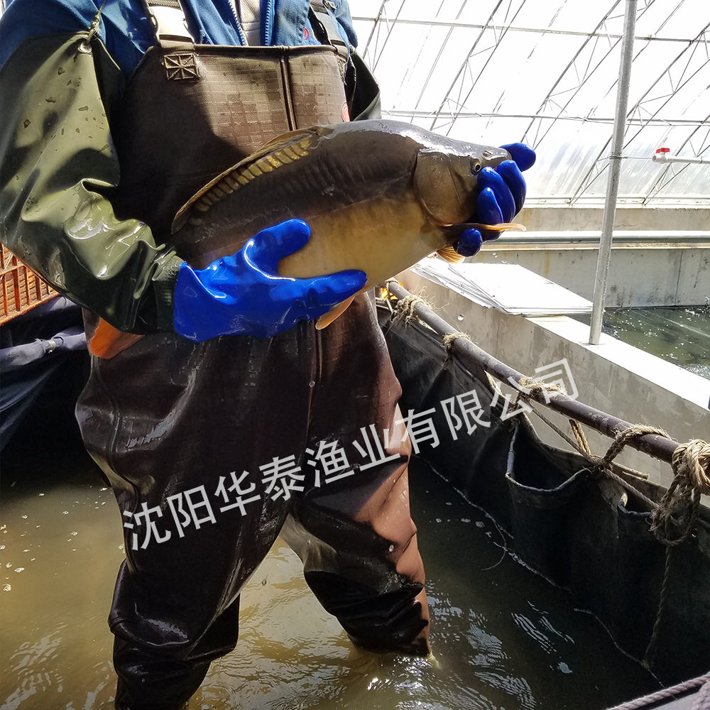 &#20048;&#31454;&#32593;&#39029;&#29256;&#30331;&#24405;&#20837;&#21475;&#45;&#20048;&#31454;&#40;&#20013;&#22269;&#41;