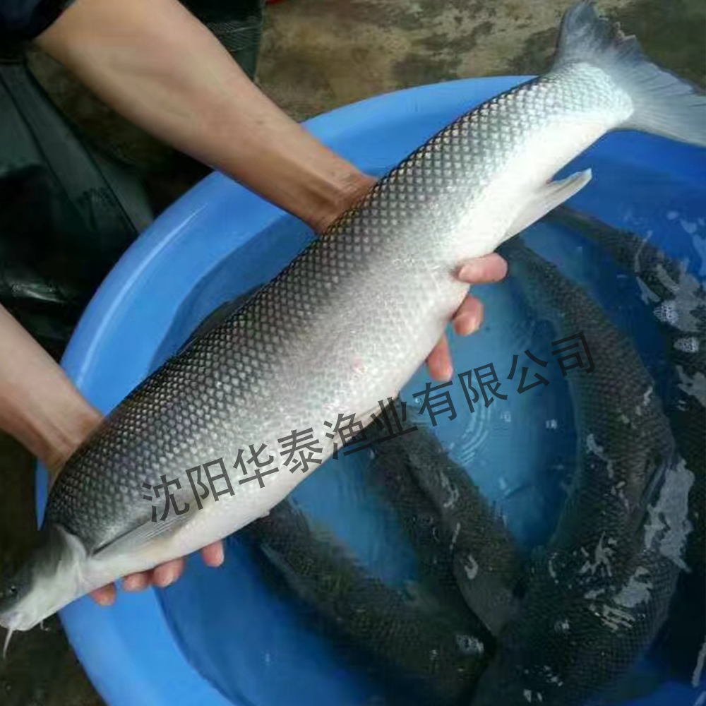 &#20048;&#31454;&#32593;&#39029;&#29256;&#30331;&#24405;&#20837;&#21475;&#45;&#20048;&#31454;&#40;&#20013;&#22269;&#41;